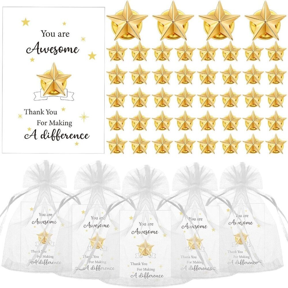 Star Employee Pins Bulk Gift Set with Cards and Bags Appreciation for Team